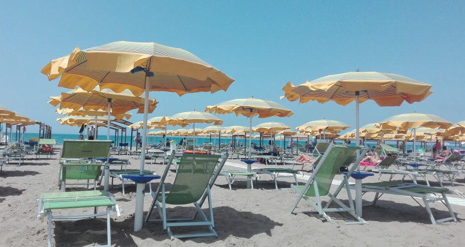 Immagine di Estate in tv: serie, news e reality. Cosa guardare se non si va in vacanza, tra repliche e cinema - Scopri di più su Televisione