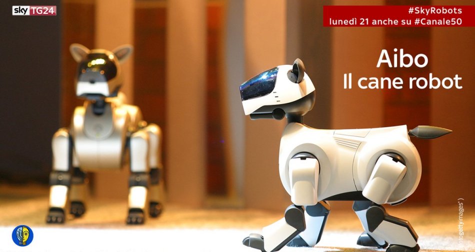 Immagine di Sky TG24 HD dedica una giornata al tema dei robot e dell'intelligenza artificiale - Scopri di più su Sky Italia