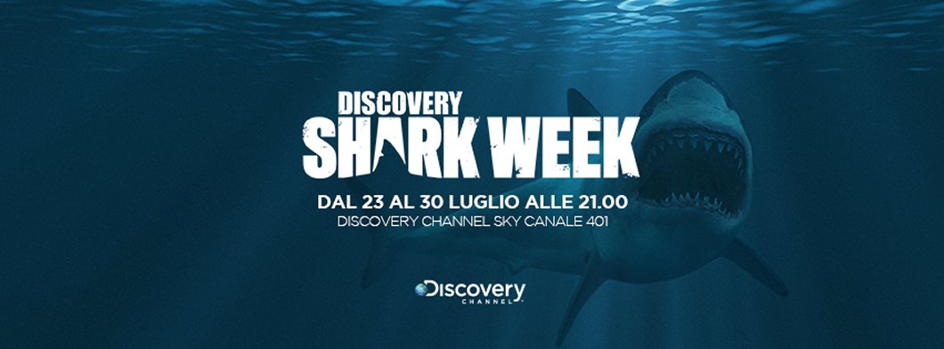 Immagine di Michael Phelps sfida uno squalo nella Shark Week su Discovery Channel - Scopri di più su Sky Italia