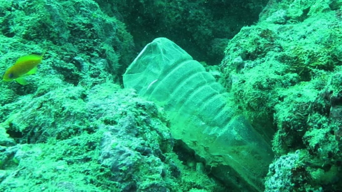 Immagine di Sky e National Geographic insieme per combattere inquinamento da plastica nei mari - Scopri di più su Sky Italia