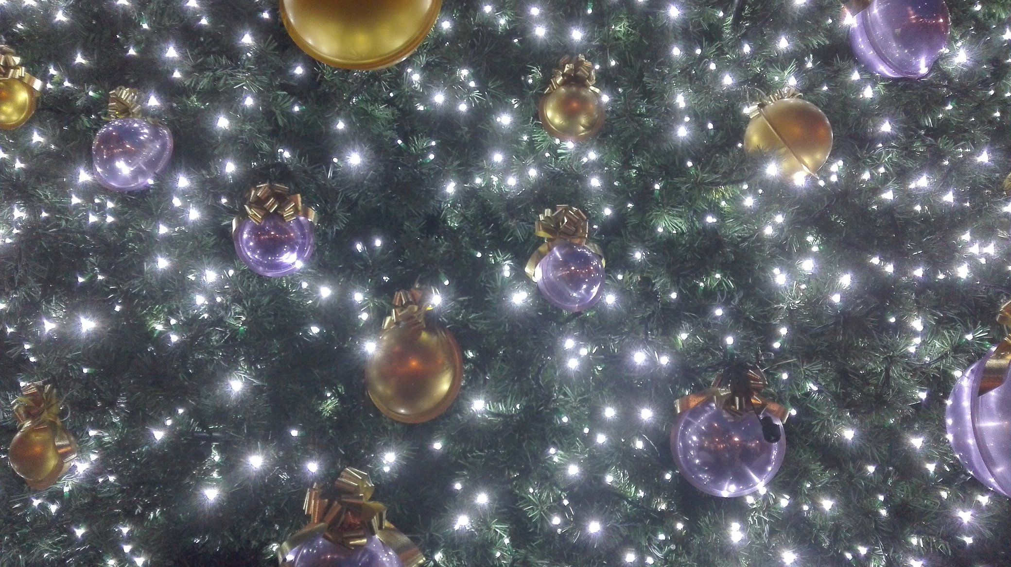 Visualizza: Auguri di Buon Natale 2018 da Digital-News.it e Digital-Forum.it su Digital-News.it Immagine di Auguri di Buon Natale 2018 da Digital-News.it e Digital-Forum.it - Scopri di più su Televisione