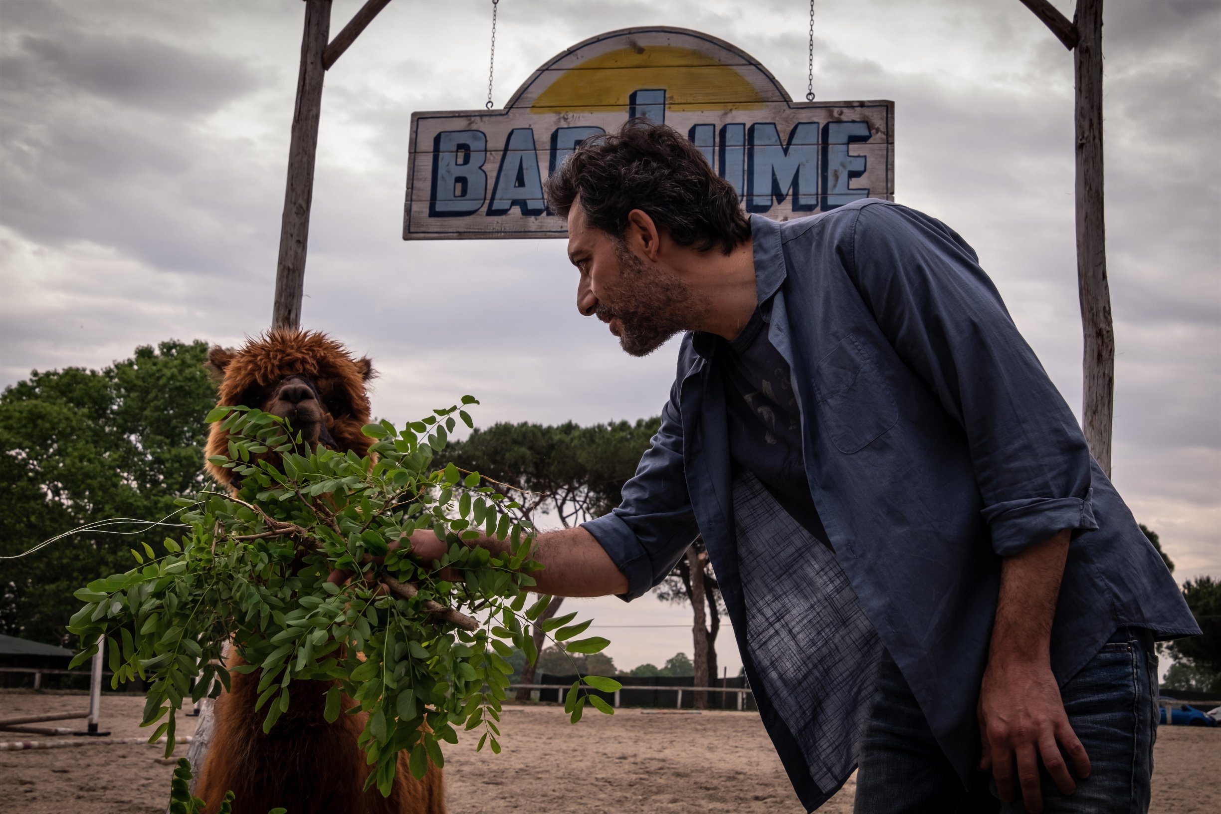 Immagine di I Delitti del BarLume, stasera su Sky Cinema «Hasta pronto Viviani!» - Scopri di più su Sky Italia