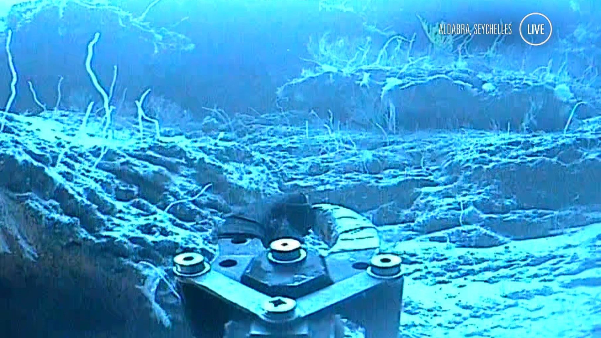 Immagine di Deep Ocean Live, Sky News in diretta dai fondali Oceano Indiano - Scopri di più su Sky Italia