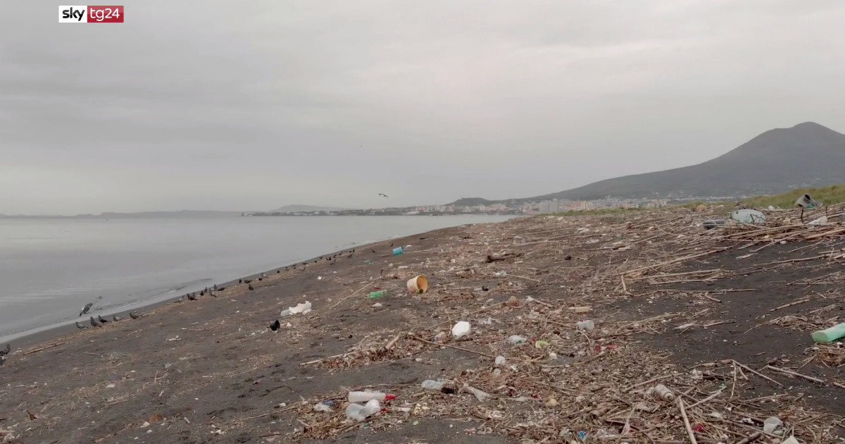 Foto - Il santuario, su Sky TG24 per capire gli effetti inquinamento della plastica