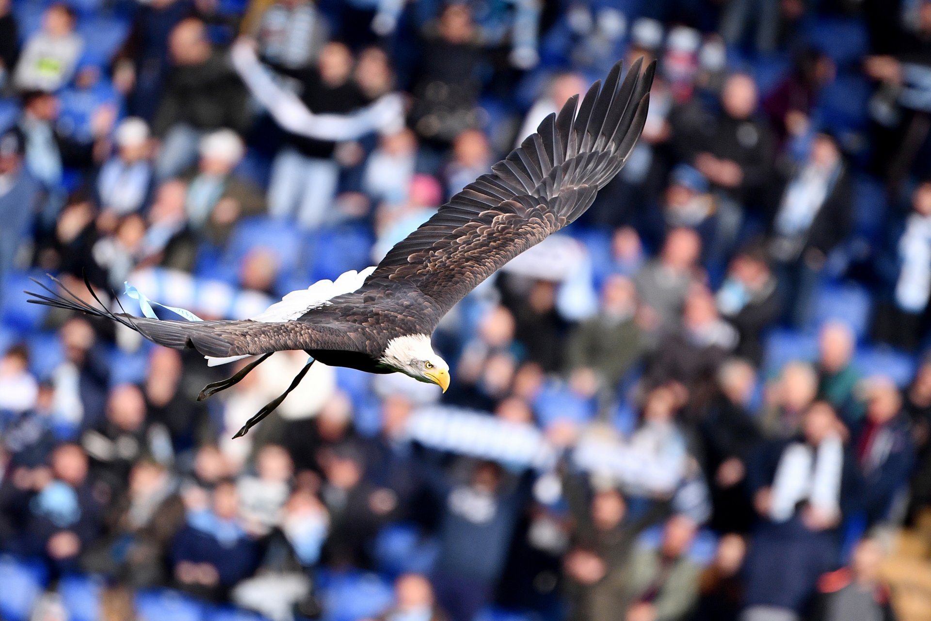 Immagine di Serie A, stasera Lazio - Hellas Verona (diretta esclusiva DAZN1, Sky 209) - Scopri di più su DAZN