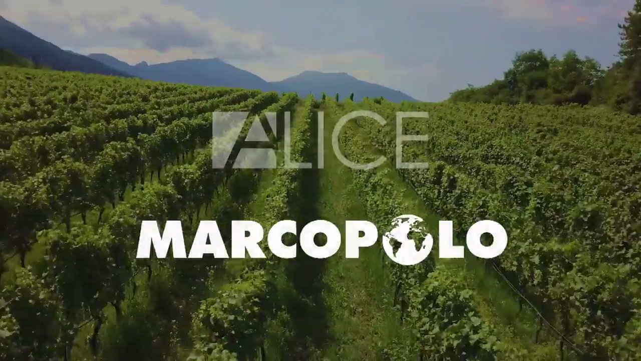 Alma TV, Alice e Marcopolo insieme sul canale 65 DTT