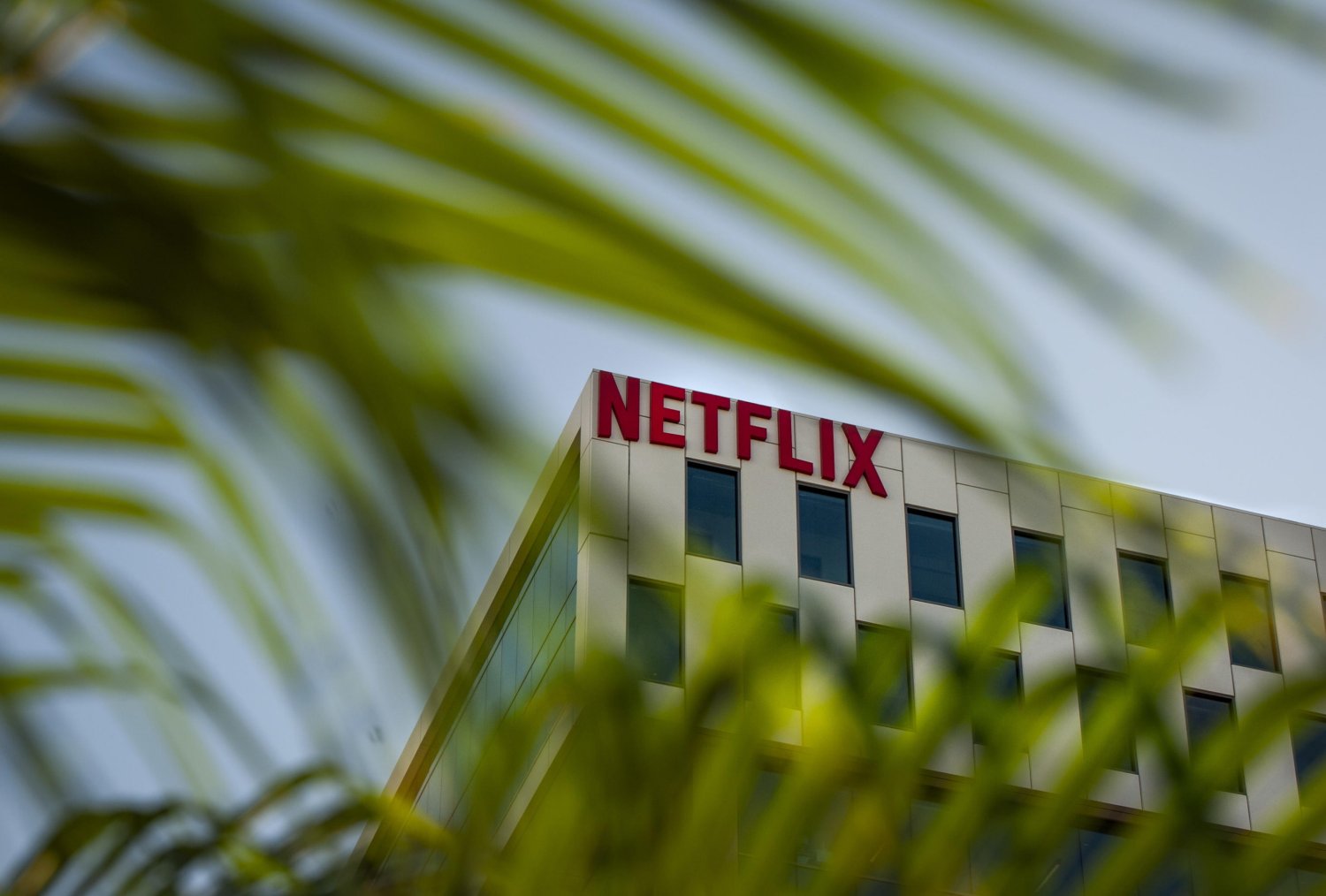 Foto - Pandemia spinge Netflix che archivia 2020 con 203,7 milioni di abbonati