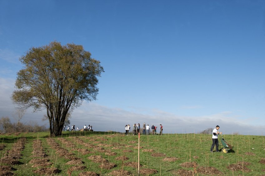 Sky tutela ambiente con progetto di forestazione per 1000 alberi a Milano
