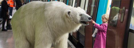 Foto - Londra, un orso polare gigante lancia la serie Fortitude (su Sky Atlantic HD)