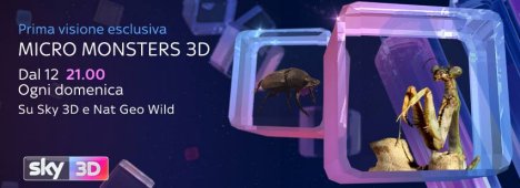 Immagine di Un viaggio mozzafiato tra gli insetti su Sky 3D e Nat Geo Wild HD - Scopri di più su Sky Italia