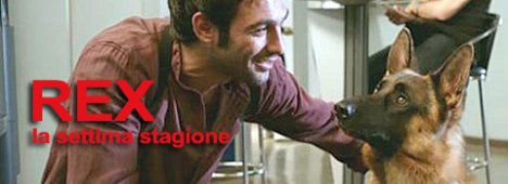Immagine di La settima stagione di Rex nella prima serata del lunedì di Rai 2 - Scopri di più su Televisione